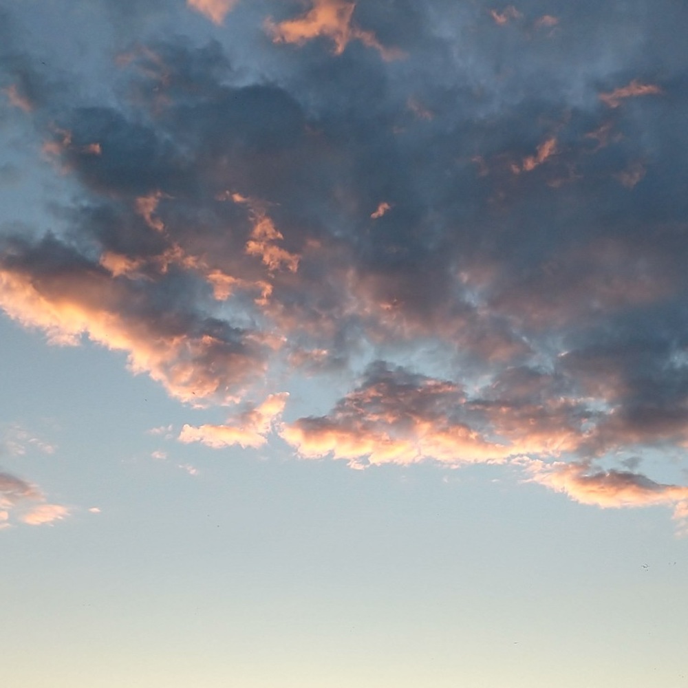 Meet your Posher, Abbi